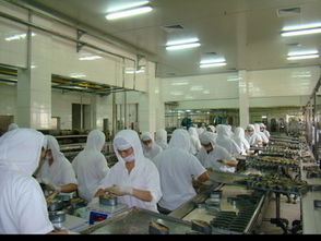 第4版 廣州輕工集團